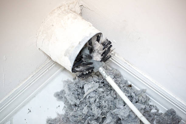 Best Air Duct Mold Removal  in USA